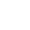 show-password